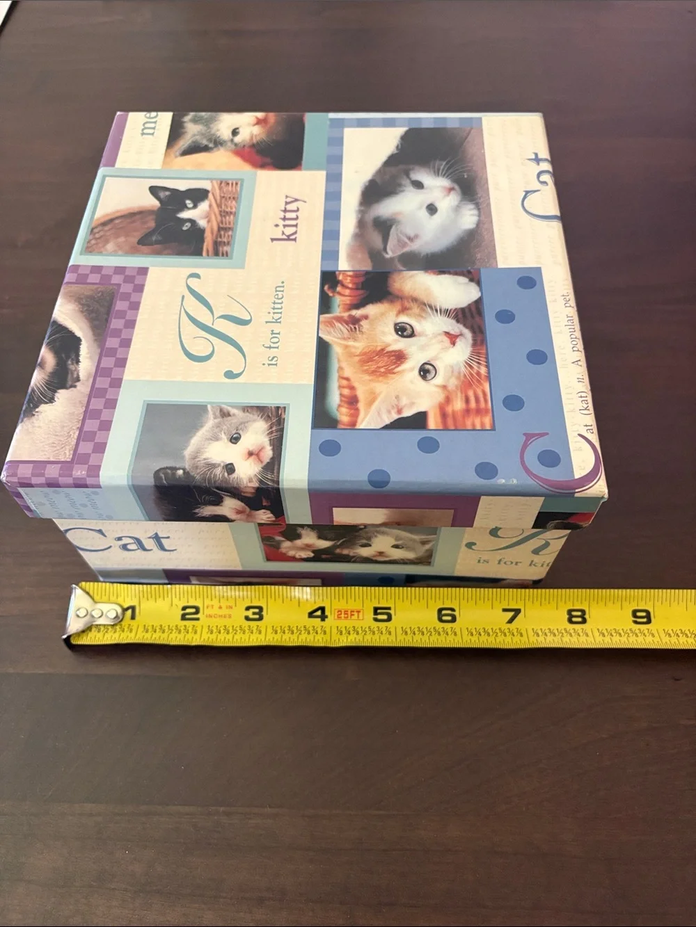 Kitty Cat Decorative Storage Box - Blue and Purple